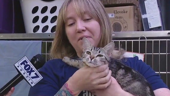 Pet of the Weekend: Molly Ollie