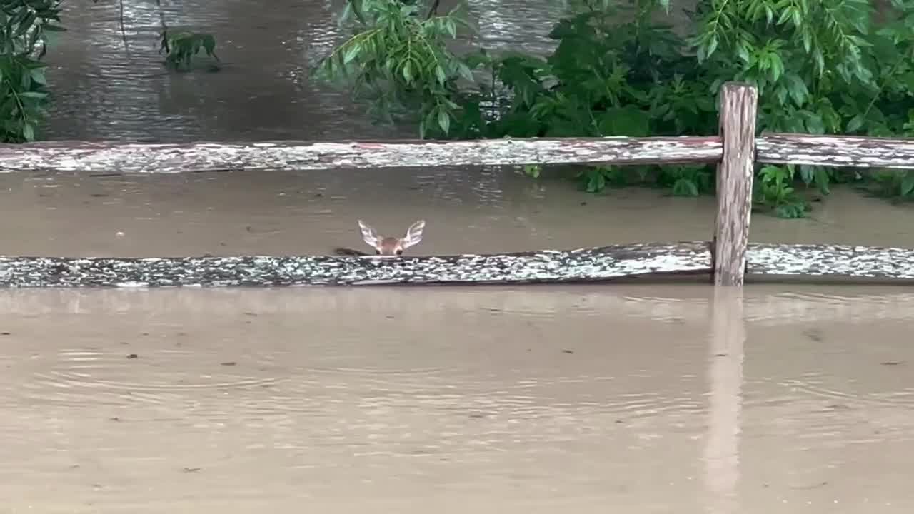 Texas flooding: Georgetown & Williamson County