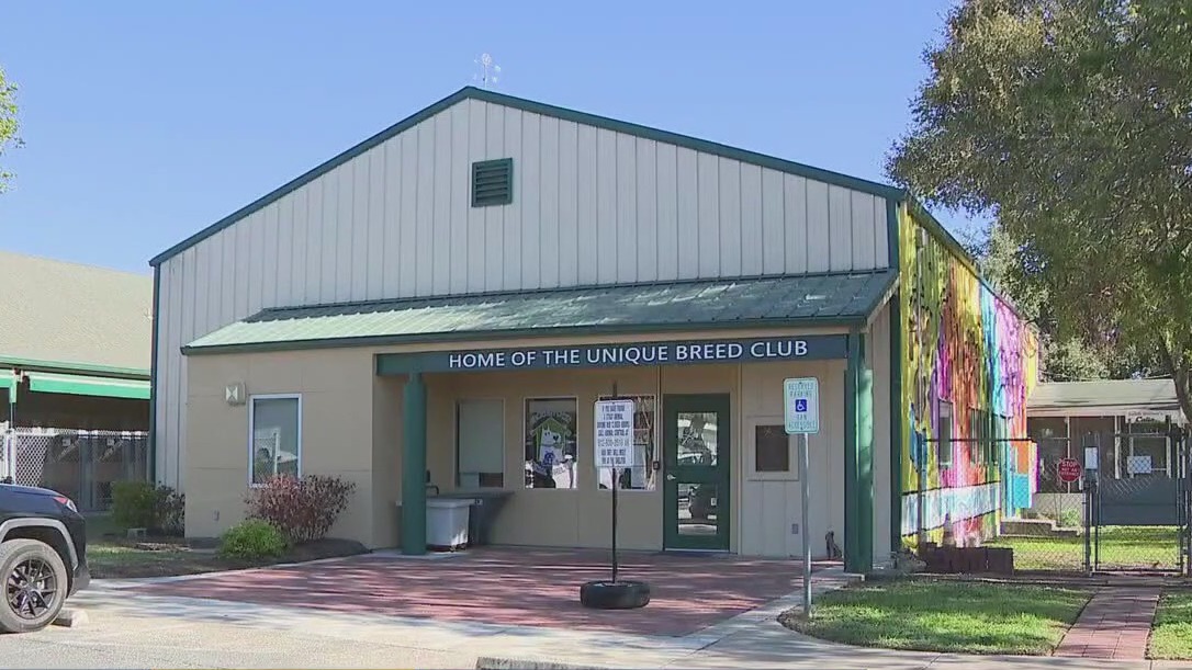 Fur-ever united merge party