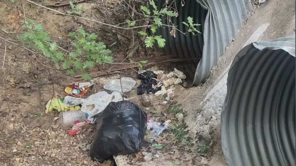 Animal remains dumped in Caldwell County