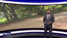 The Texas News Show - 12/8/24