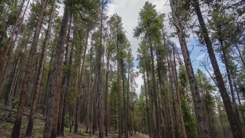 Visiting Colorado: Austin Travels