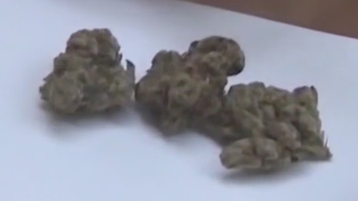 Trump wants to reclassify marijuana