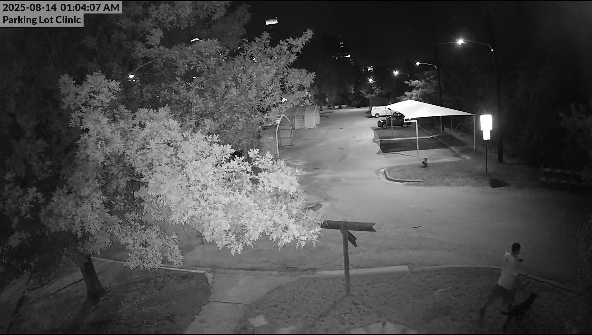 Break-in at Austin Pets Alive!