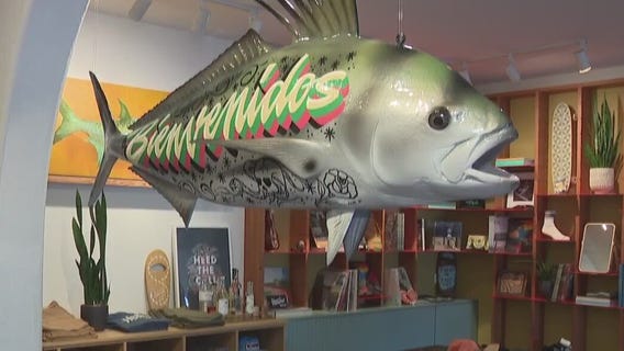 Howler Brothers: Tierra's Texas