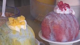 Hana Organic Shave Ice: Tierra's Texas