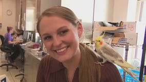 Pet of the weekend | Meet Poodle