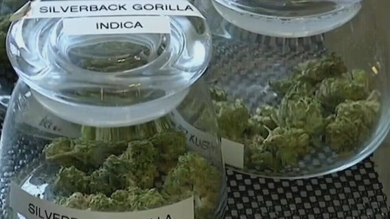 Medical marijuana expansion starts next month