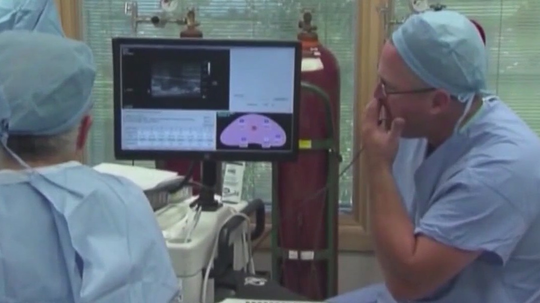 Gene-edited pig lung transplanted into patient