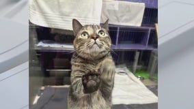 Pet of the Weekend | Winona Ryder