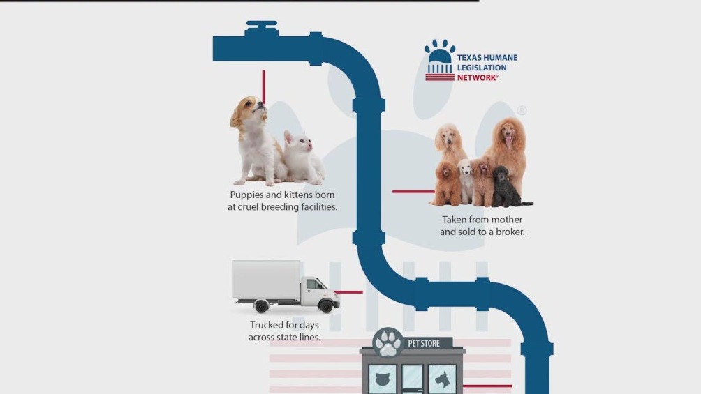 Puppy Mill Awareness Day