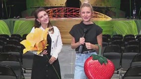 Cirque du Soleil OVO at Moody Center