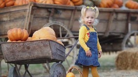 Fall fun in and around Austin: Austin Travels