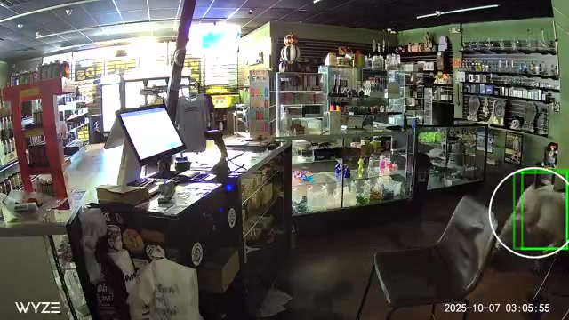 VIDEO: Break-in at NE Austin business