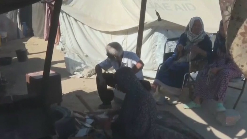 Gaza ceasefire holds: Latest details