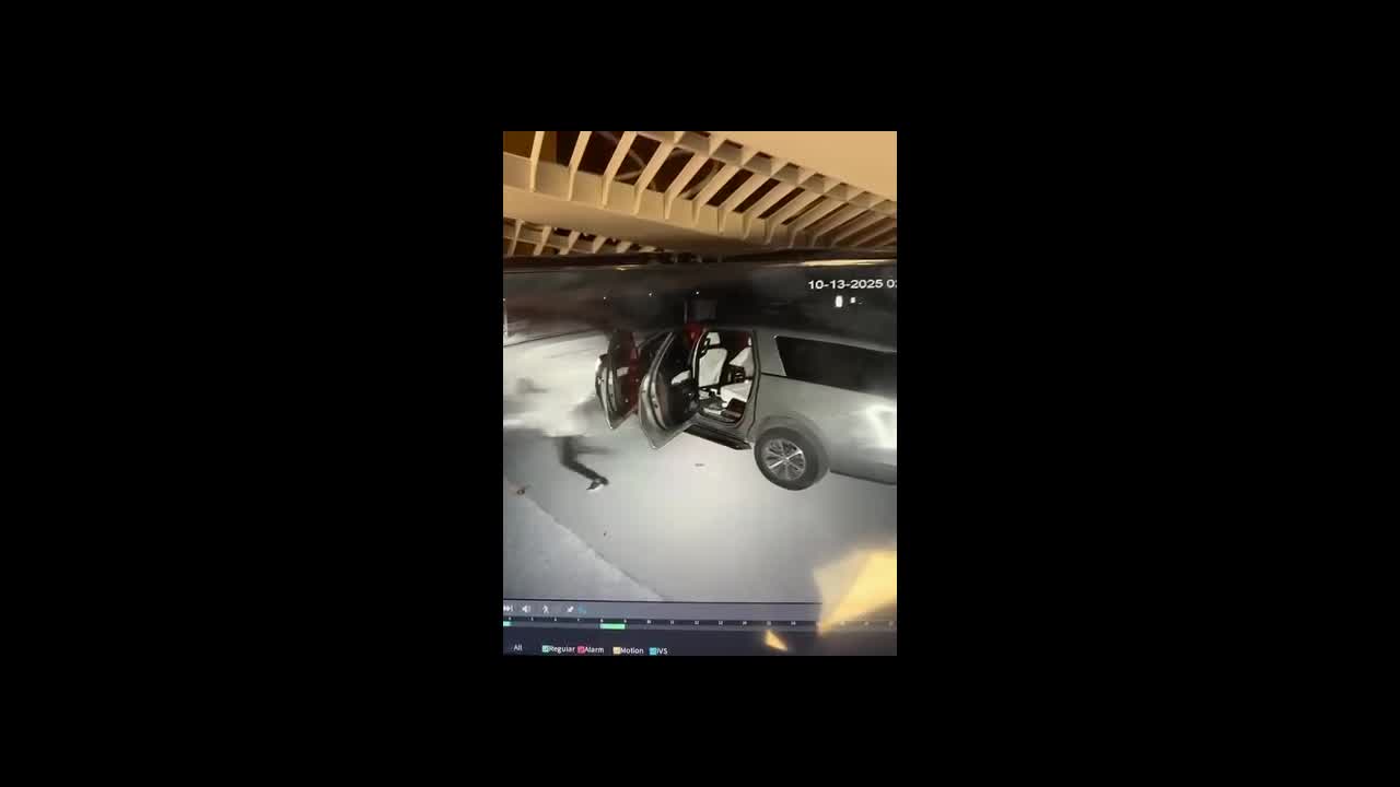 VIDEO: Suspects seen dumping stolen vehicle