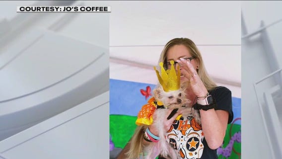 Eight annual ugly dog contest