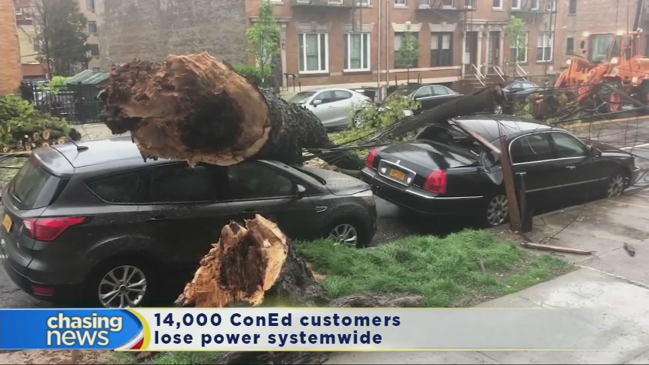 Wind topples tree, crushes cars, brings down utility lines in Astoria