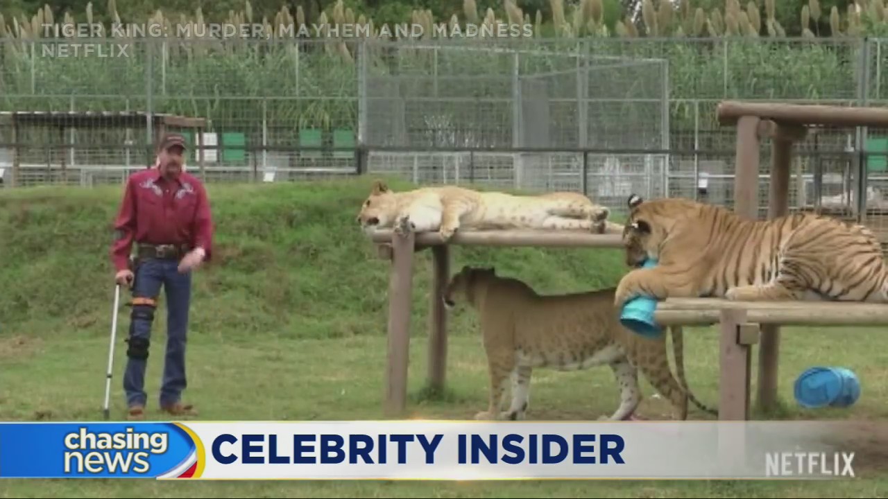 "Tiger King," virtual Easter and more!