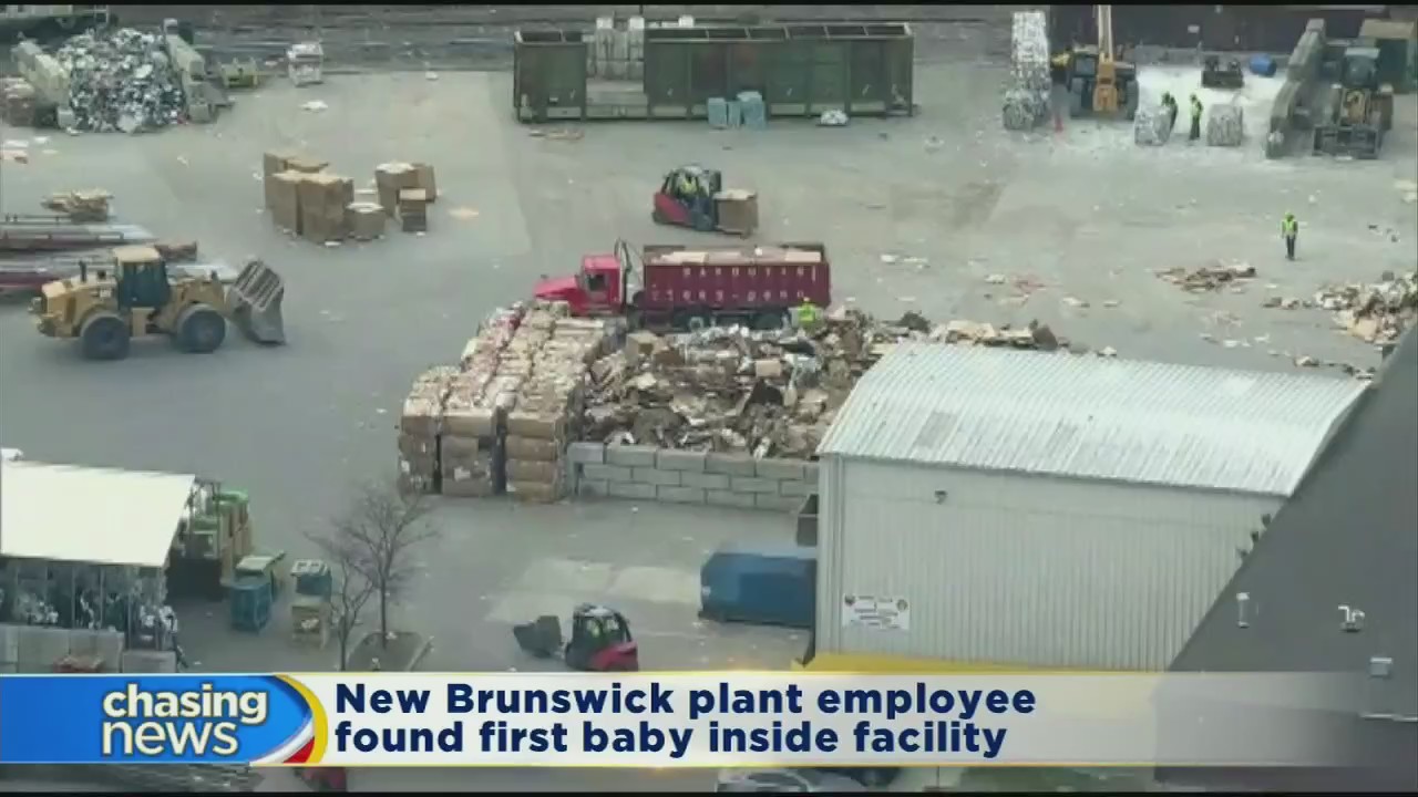 Newborns found dead at NJ recycling facility