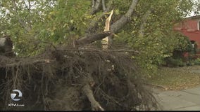 Rainstorms may ease drought