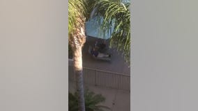 San Diego shooting: Raw video