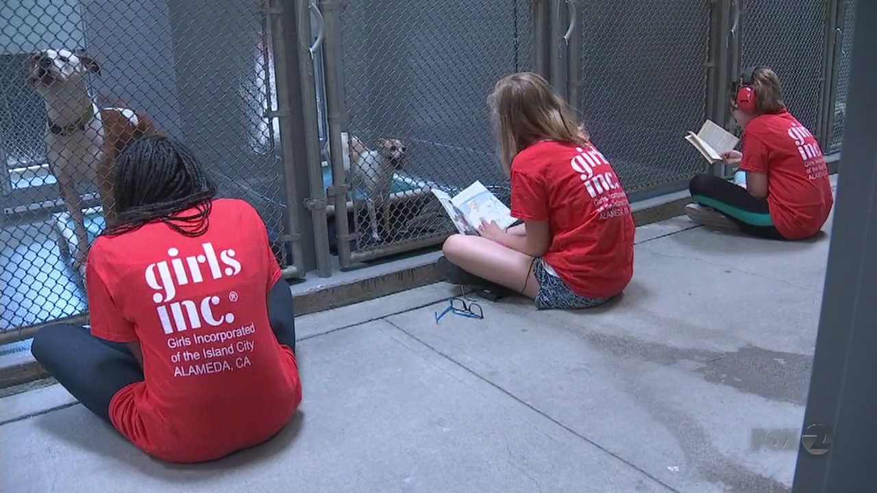 BAY AREA PEOPLE GRUFF Program