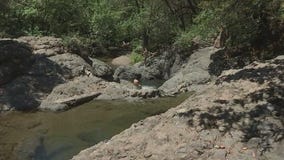 BAY AREA PEOPLE Inkwells