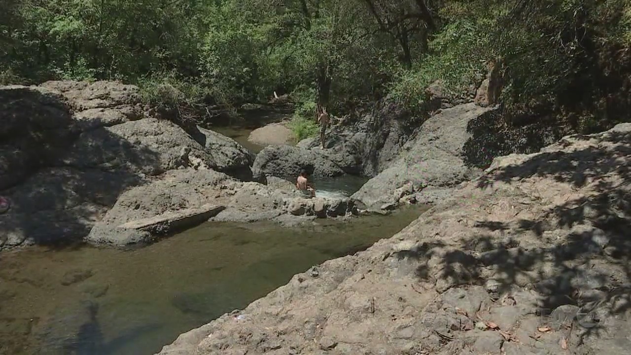 BAY AREA PEOPLE Inkwells