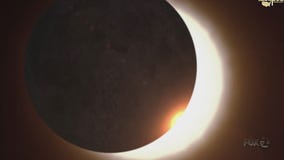 BAY AREA PEOPLE Eclipse Big Picture