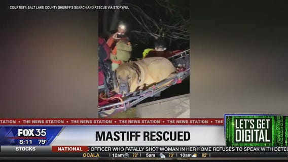 Let's Get Digital: 10/15/19