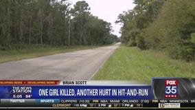 Authorities search for driver in Alachua County hit and run