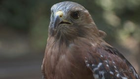 BAY AREA PEOPLE Sulphur Creek Nature Center