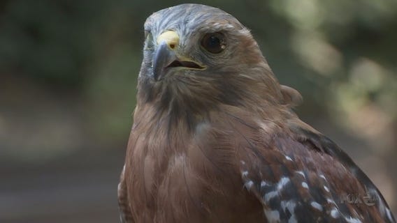 BAY AREA PEOPLE Sulphur Creek Nature Center