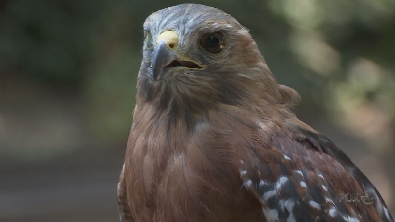 BAY AREA PEOPLE Sulphur Creek Nature Center