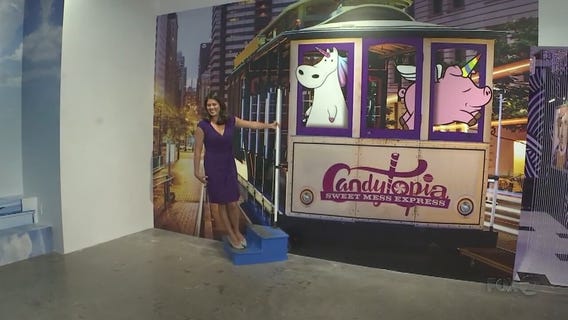 BAY AREA PEOPLE Candytopia