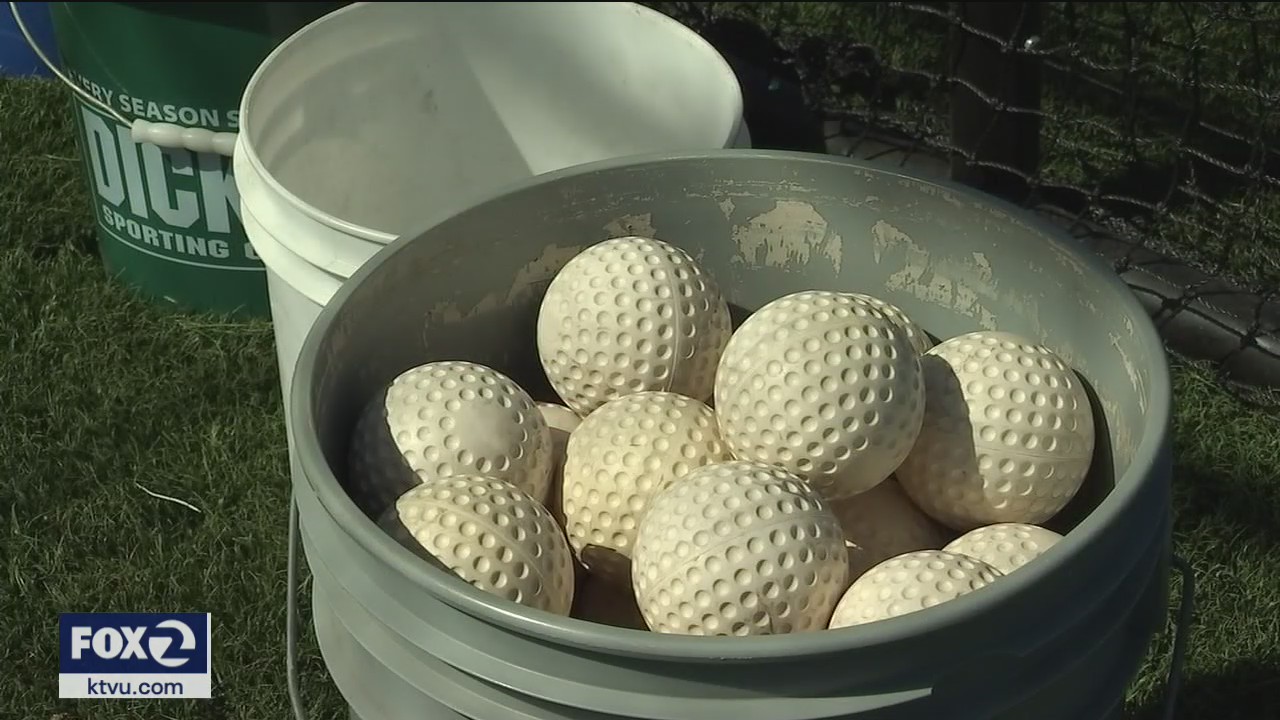 Thief makes off with little league pitching machine