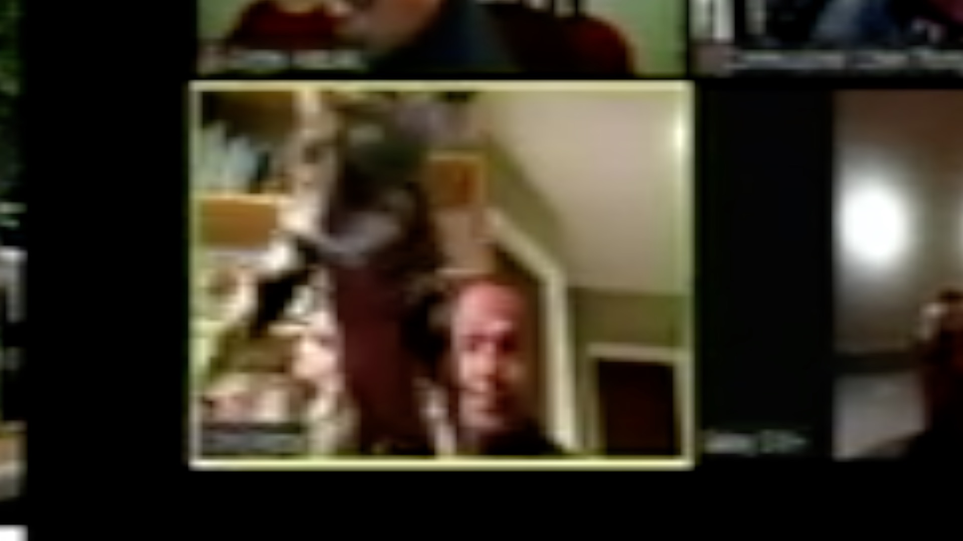 Vallejo planning commissioner throws his cat during planning commission meeting