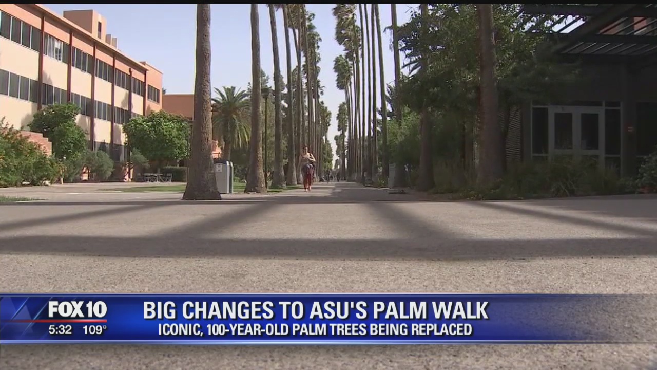 ASU's iconic 'Palm Walk' gets a facelift