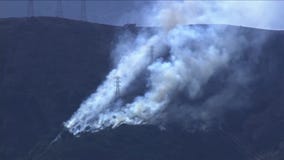 Firefighting aircraft respond to quickly contain San Bruno Mountain Fire in Brisbane