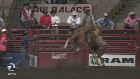 Grand National Rodeo at Cow Palace draws long-time fans, animal rights activists