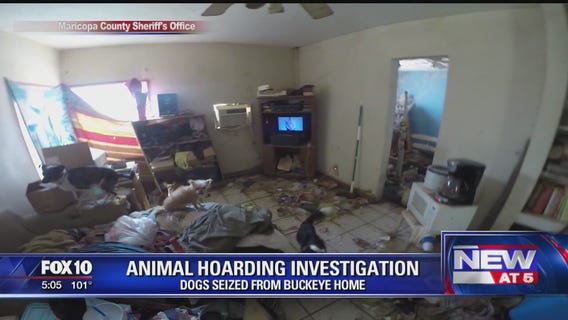 13 dogs seized from Buckeye home