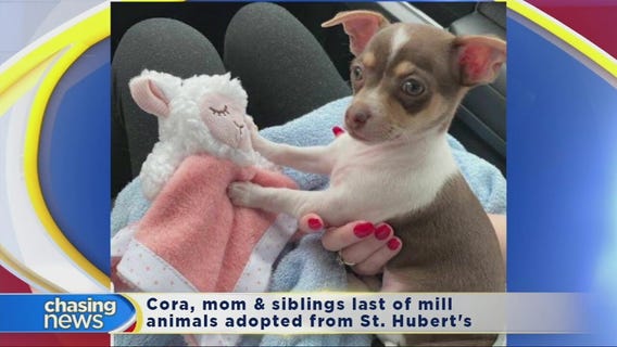 Family adopts puppy connected to NJ puppy mill