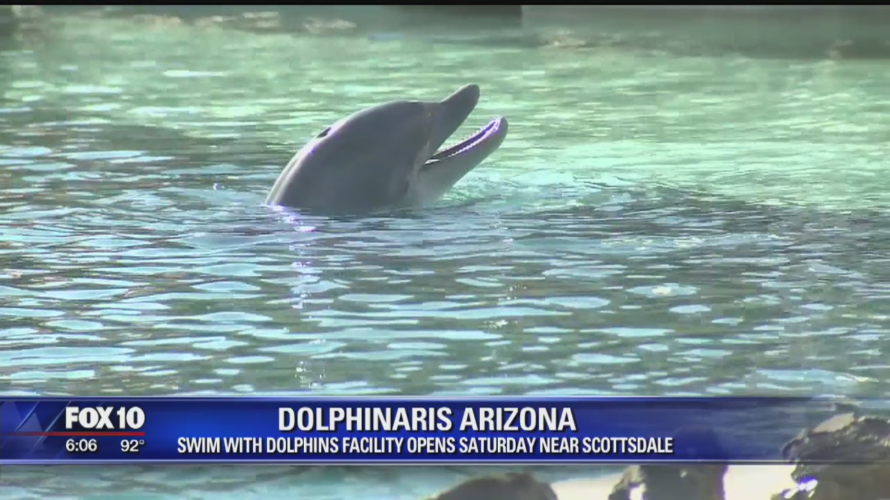 Dolphin exhibit opens in Arizona