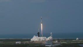 SpaceX capsule carrying NASA astronauts reaches orbit on its way to the International Space Station