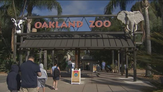 KTVU Zip Trips: The Oakland Zoo