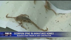 Scorpion problem for one Valley neighborhood