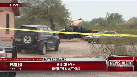 Alleged burglar shot by homeowner