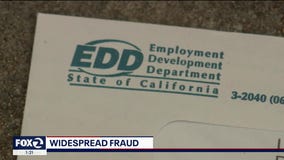 Unemployed In California: Fraud, Failure and Frustration
