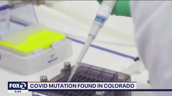 Coronavirus variant found in Colorado